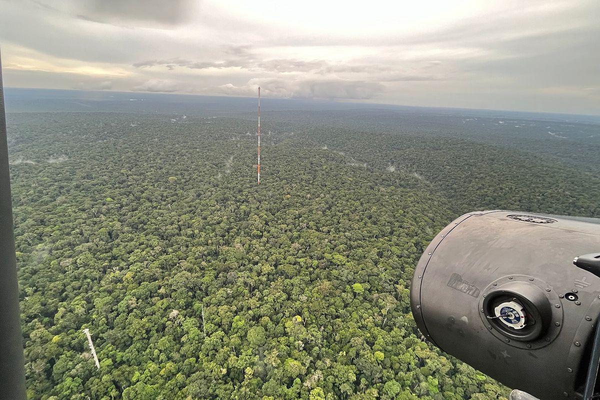 Floresta amazônica vista de cima, com torre de pesquisa